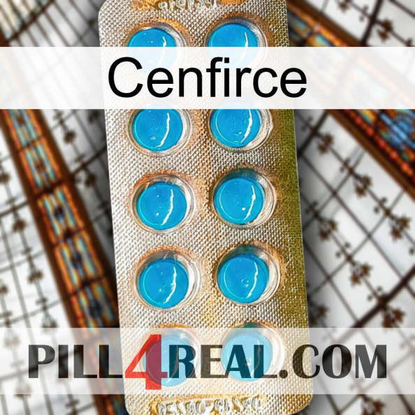 Cenfirce new09.jpg